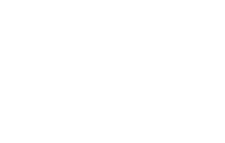 Exec Logo